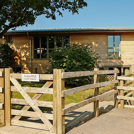 Oak Apple Newton Abbot Exterior foto